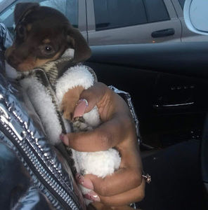 Meet your Posher, Serenity